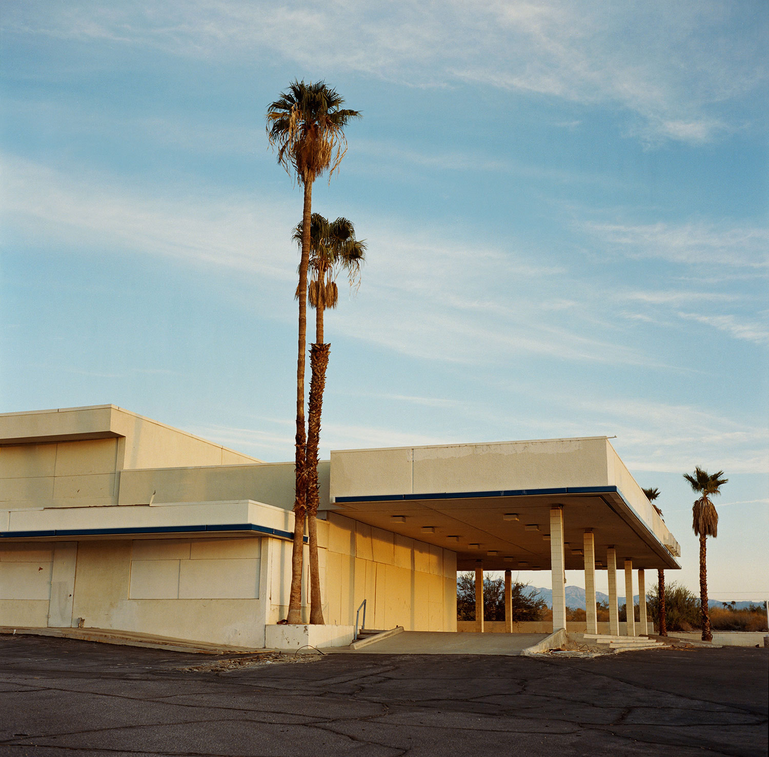 palmsprings9-copy